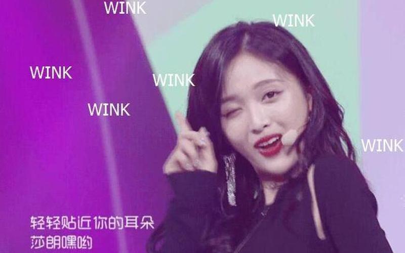 wink什么意思中文翻译-第1张图片-波音达百科