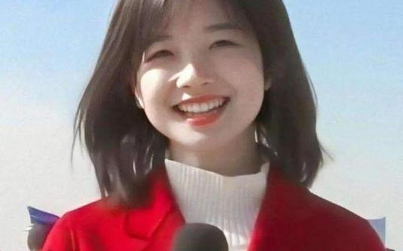 央视女记者因颜值上热搜-第1张图片-波音达百科