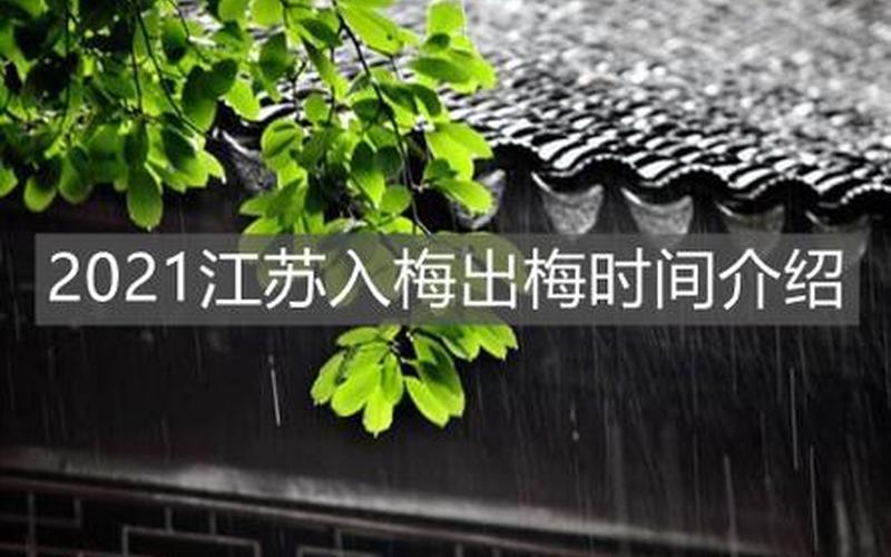 出梅是什么意思啊-第1张图片-波音达百科