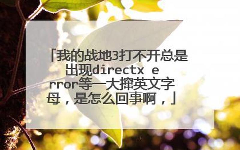 战地3 directx error-第1张图片-波音达百科