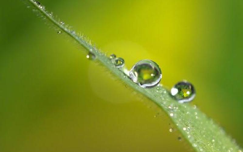 明天几点打春明天几点立春-第1张图片-波音达百科