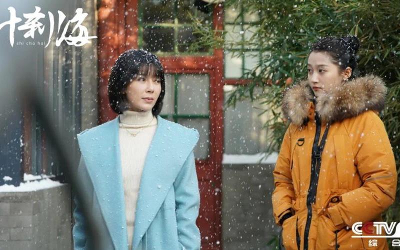 什刹海电视剧剧情介绍-第1张图片-波音达百科