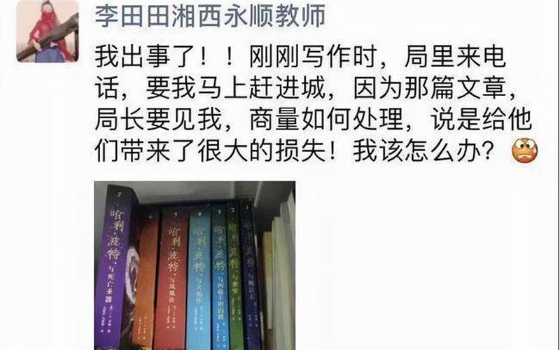 胡锡进谈李田田事件-第1张图片-波音达百科