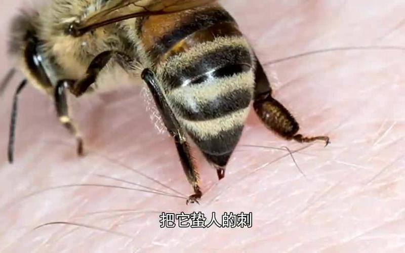曾老预言2023年会死很多人吗-第1张图片-波音达百科