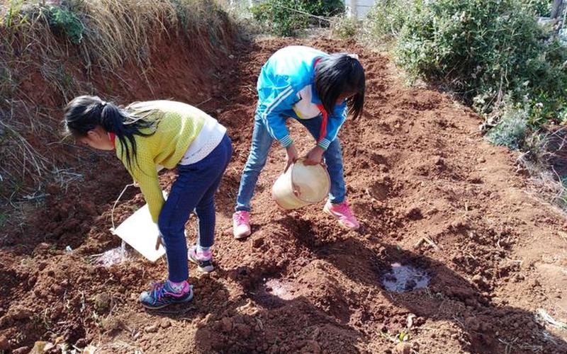 春种一粒粟的下一句-第1张图片-波音达百科