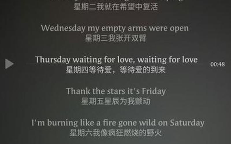 wap完整版歌词翻译-第1张图片-波音达百科