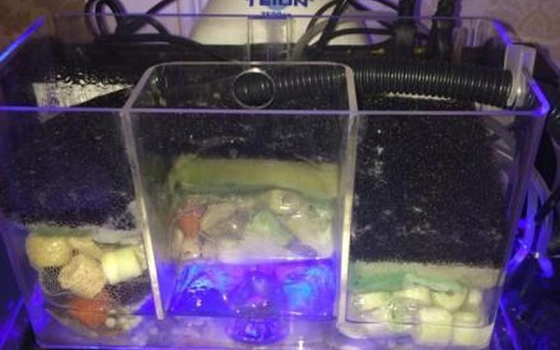 鱼缸的水浑浊怎么办怎么变清-第1张图片-波音达百科