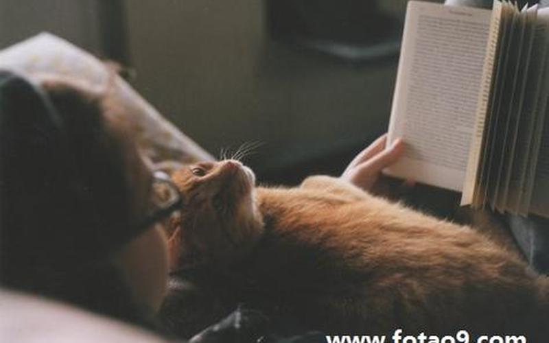 周公解梦梦见剪指甲-第1张图片-波音达百科