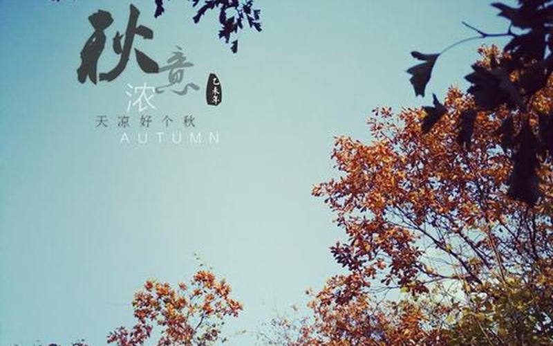 天凉好个秋的意思-第1张图片-波音达手游百科