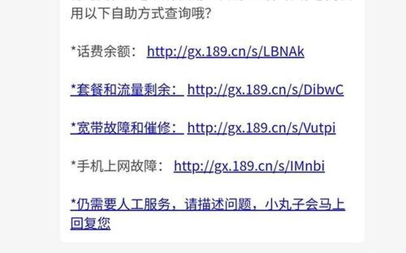 是什么意思一种什么服务-第1张图片-波音达百科