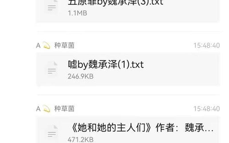 魏承泽所有的小说-第1张图片-波音达百科
