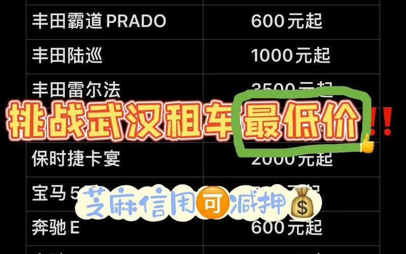武汉租车价格一览表-第1张图片-波音达手游百科