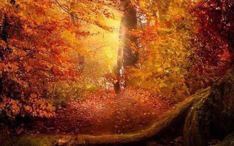 最快的阅读打一成语-第1张图片-波音达百科