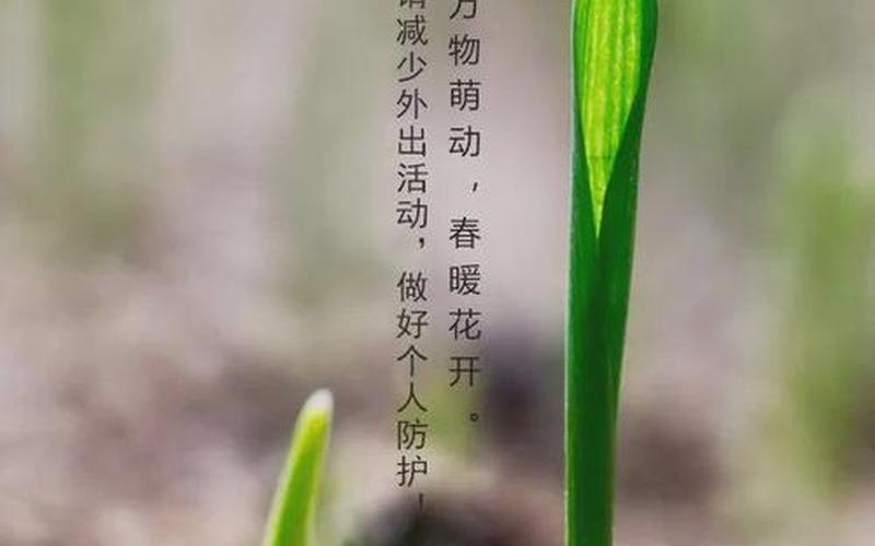 春雷响下一句是什么-第1张图片-波音达百科