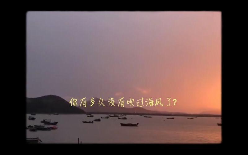 流浪歌词我想出去走一走-第1张图片-波音达百科