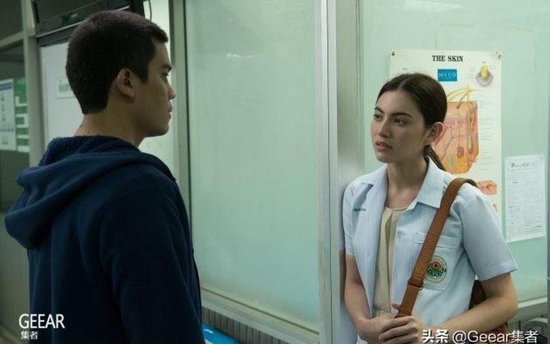 电影爱情片排行榜-第1张图片-波音达百科