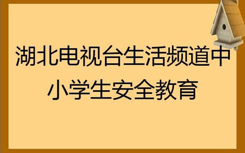 湖北生活频道回看视频-第1张图片-波音达百科