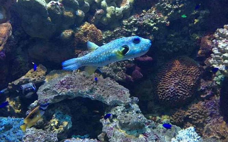 青岛极地海洋世界图片-第1张图片-波音达百科