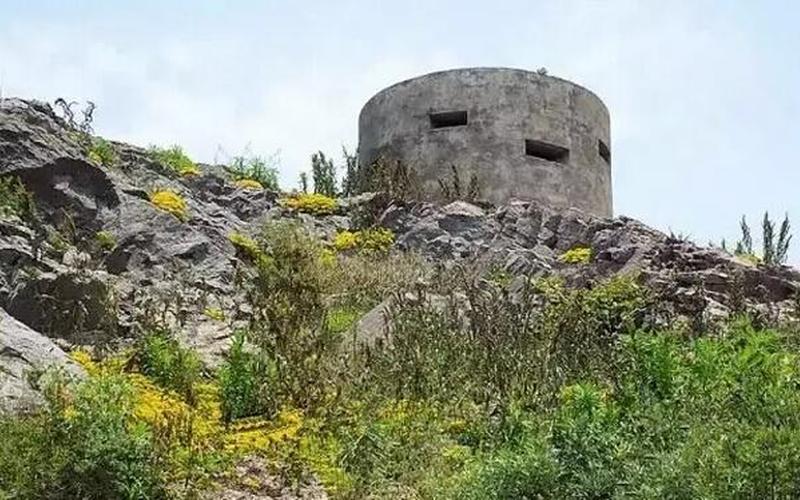 碉堡了是什么意思-第1张图片-波音达百科