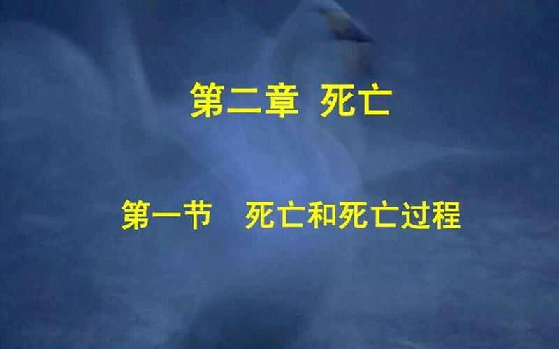 霍金斯的死亡过程30秒吓人-第1张图片-波音达手游百科