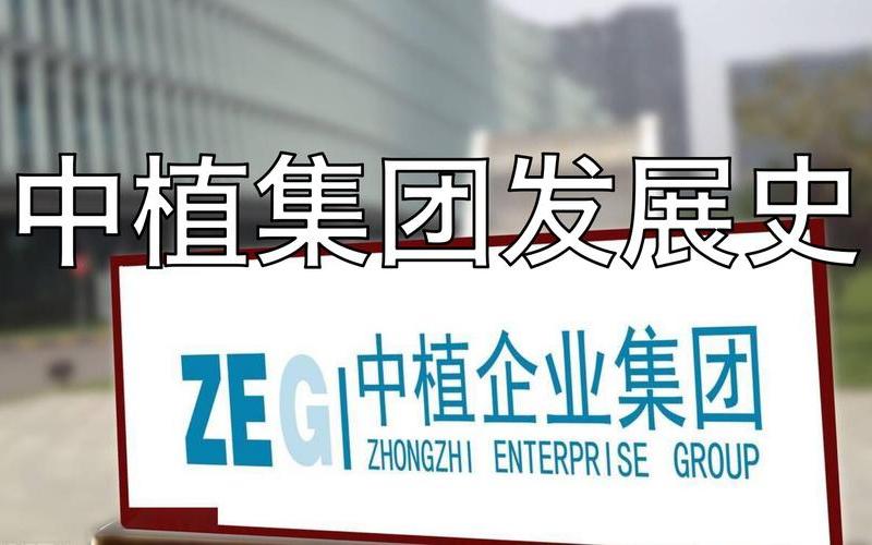 中植系背后的靠山是李-第1张图片-波音达百科