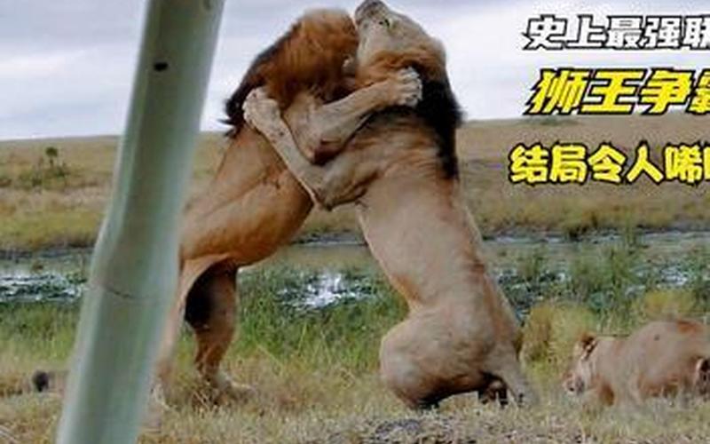 人与自然动物世界配种-第1张图片-波音达手游百科
