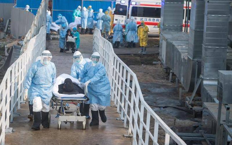 武汉新冠肺炎死了多少人-第1张图片-波音达百科