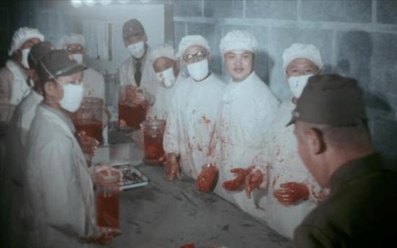 黑太阳731怎么拍摄的-第1张图片-波音达百科