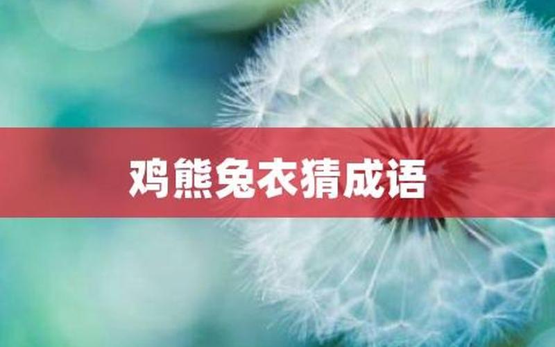 鸡熊兔衣服打一成语-第1张图片-波音达百科
