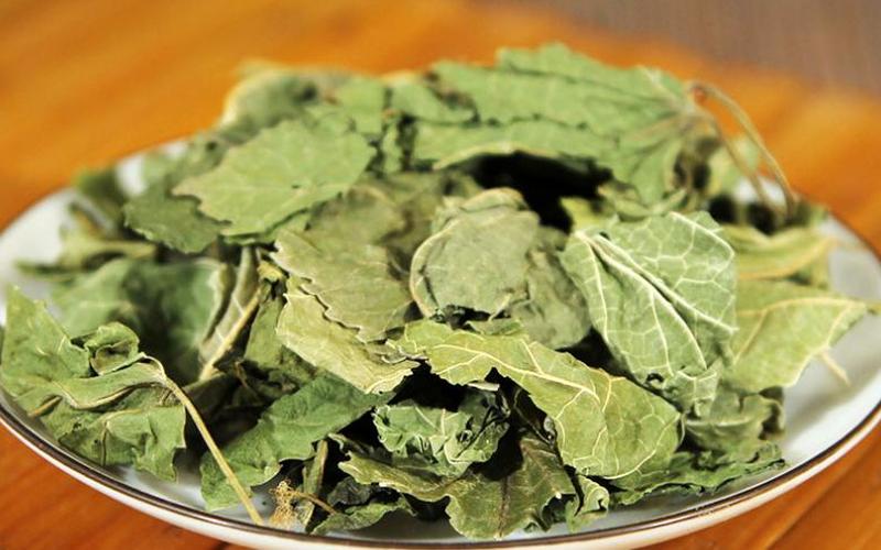 桑叶茶的功效与作用及禁忌-第1张图片-波音达百科