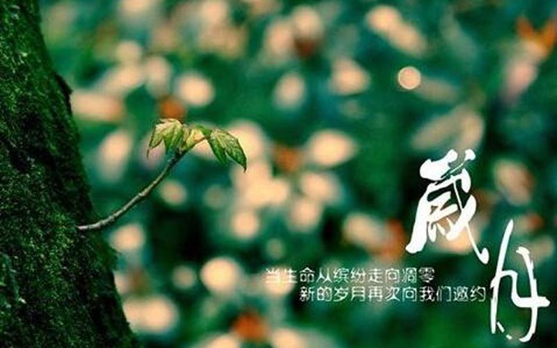 光阴荏苒岁月如梭-第1张图片-波音达百科