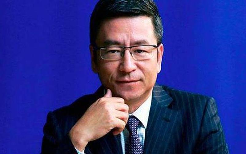 白岩松到底犯了什么事-第1张图片-波音达百科