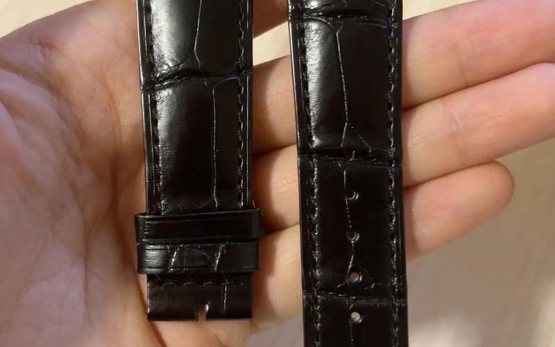 积家手表换表带多少钱-第1张图片-波音达百科