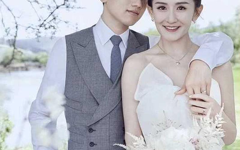 张杰谢娜离的婚是真的吗-第1张图片-波音达百科