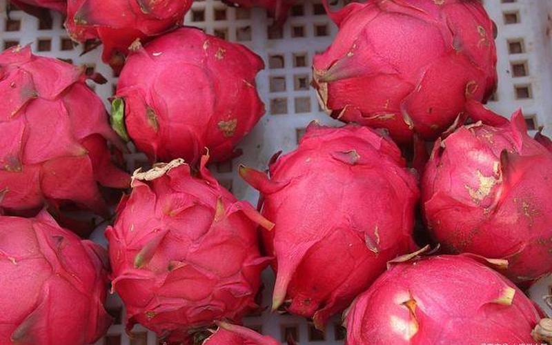 火龙果有几种颜色-第1张图片-波音达百科