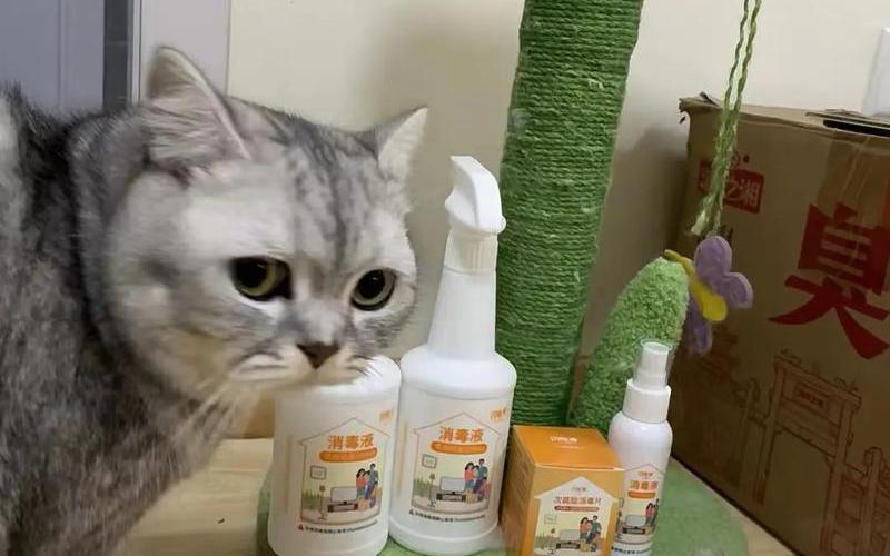 卫生部为什么取消次氯酸消毒-第1张图片-波音达百科