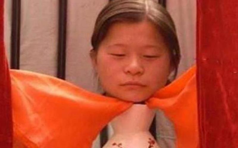 施天诺航天员原型-第1张图片-波音达百科