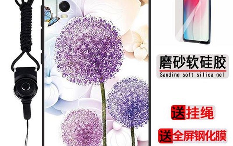 男女之间sc是什么意思-第1张图片-波音达百科