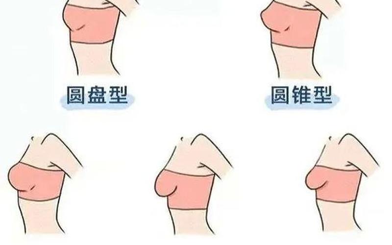 组词女生的胸长什么(图)-第1张图片-波音达百科