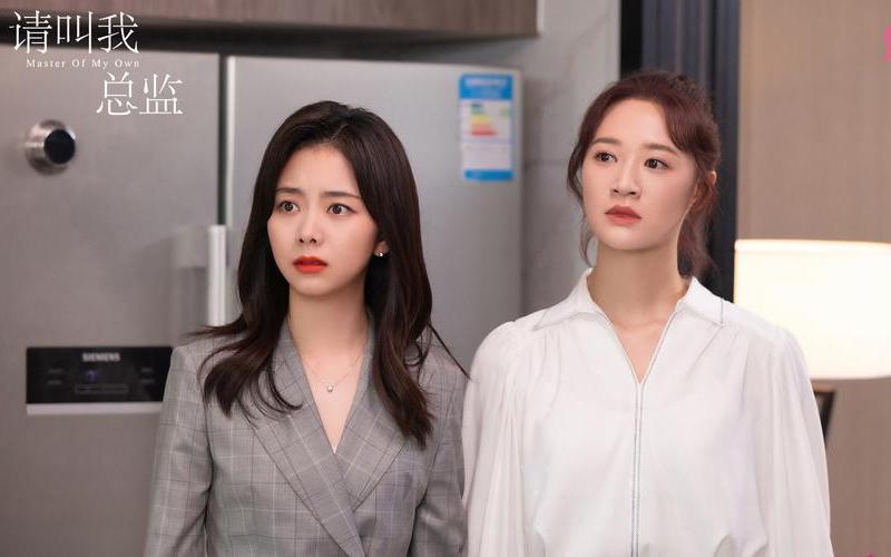 请叫我总监一共多少集-第1张图片-波音达百科