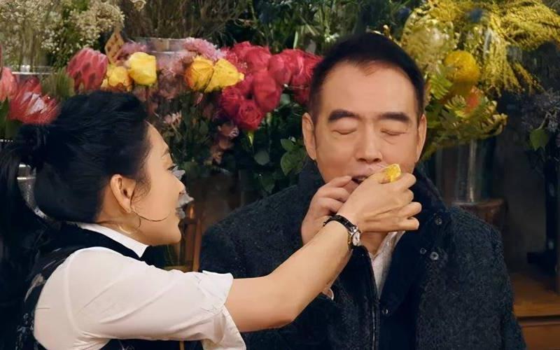 陈凯歌不能生育陈红怎么怀孕-第1张图片-波音达百科