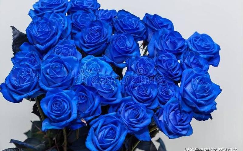 蓝色妖姬玫瑰花是怎样变成蓝色的-第1张图片-波音达百科