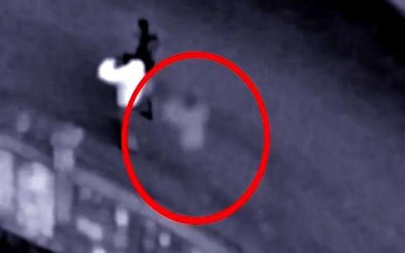 世界上真有头吗-第1张图片-波音达百科