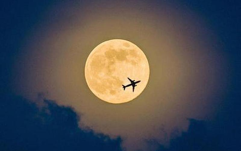 十五的月亮十六圆下一句是什么-第1张图片-波音达百科