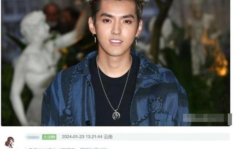 吴亦凡加拿大事件-第1张图片-波音达百科