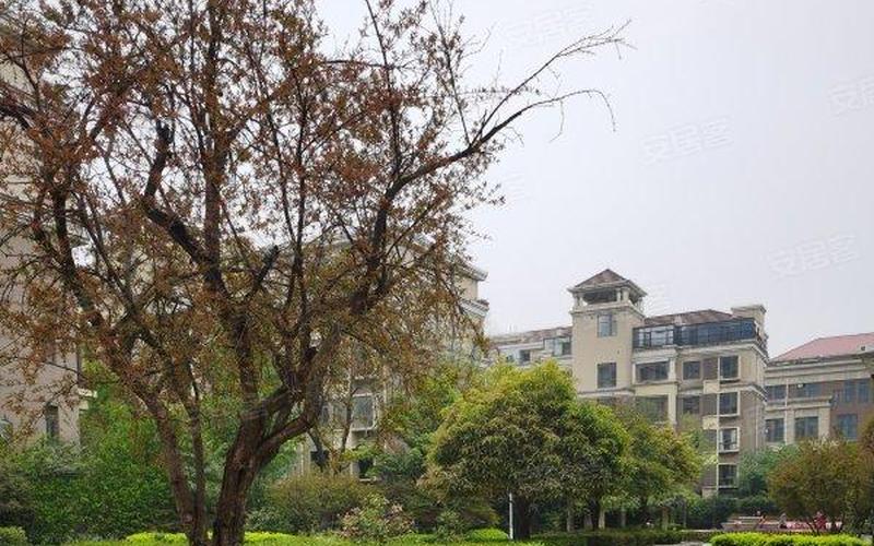 精品国色天香一期二期-第1张图片-波音达百科