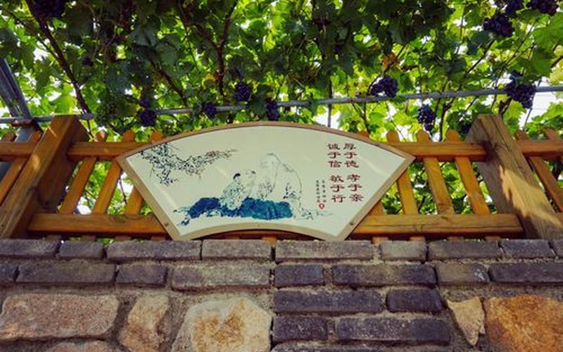 阿门阿前一个葡萄树-第1张图片-波音达手游百科