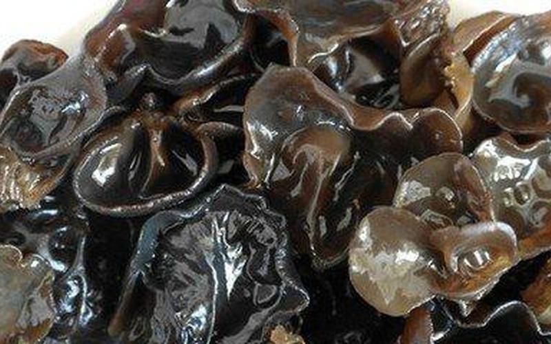 黑木耳的药用价值-第1张图片-波音达百科