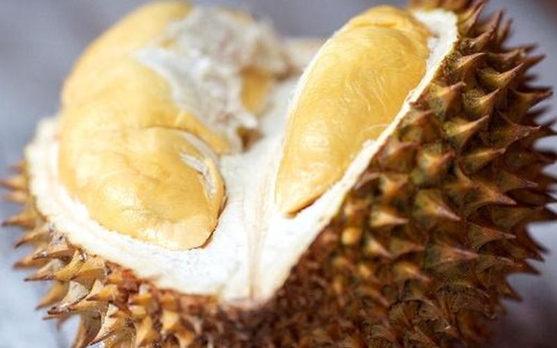 榴莲什么时候吃是应季-第1张图片-波音达百科