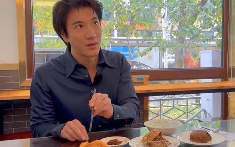 王力宏为什么被全网封主要原因-第1张图片-波音达百科